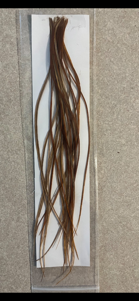 Whiting Brown Midge Saddle Hackle 100 Pack