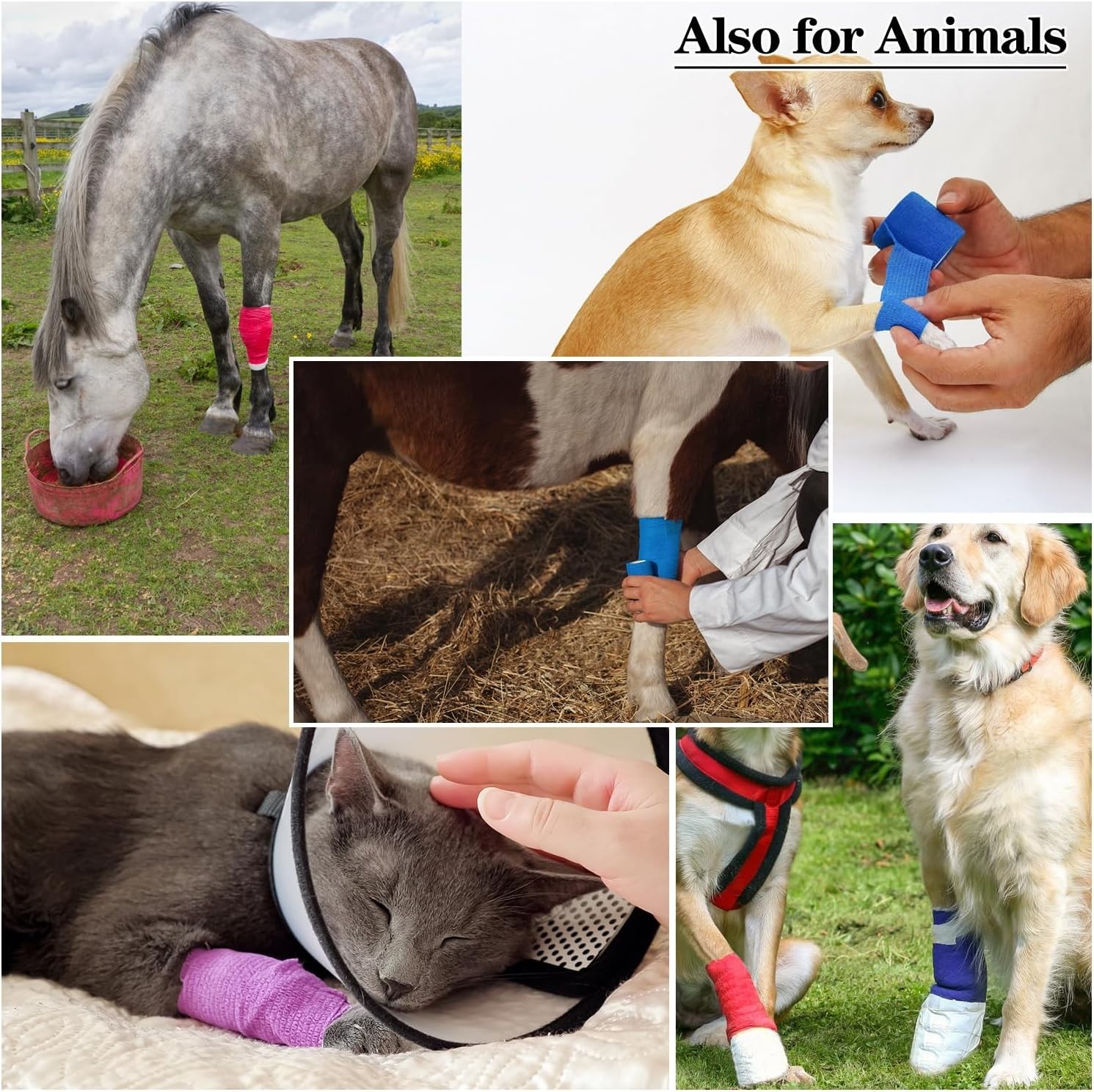 6pcs 2in Self Adhesive Bandage Wraps, Vet Wraps, 12 Colors to Choose, 5 Yard ...