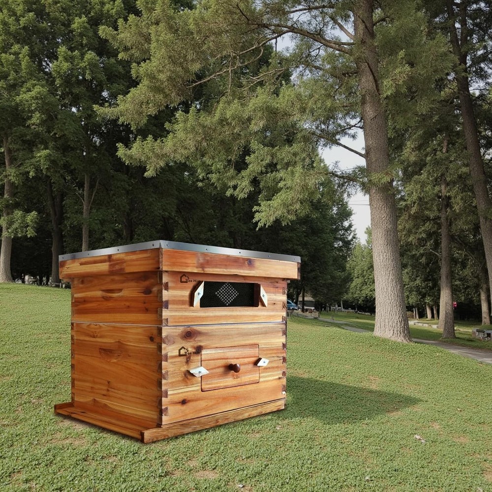Bee Hive Langstroth Kit 1 Deep & 1 Medium Box 20 Frames with Acrylic Windows