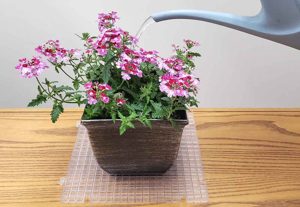 Waffle Grid 1-Pack - The Original Multi-Use Modular Grid System - Solid Botto...