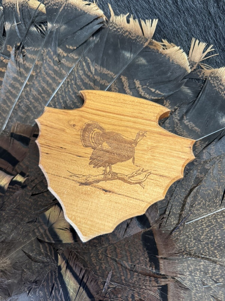 Turkey Tail & Beard Hardwood Plaque