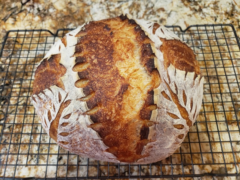 Organic DEHYDRATED SOURDOUGH STARTER