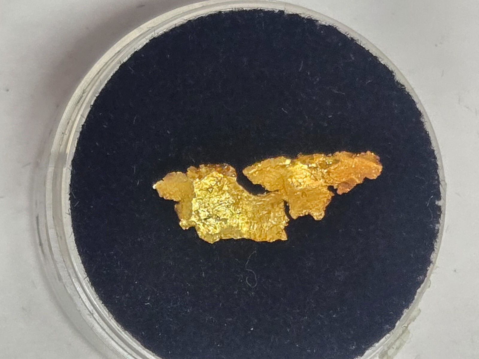 Beautiful Gold specimen