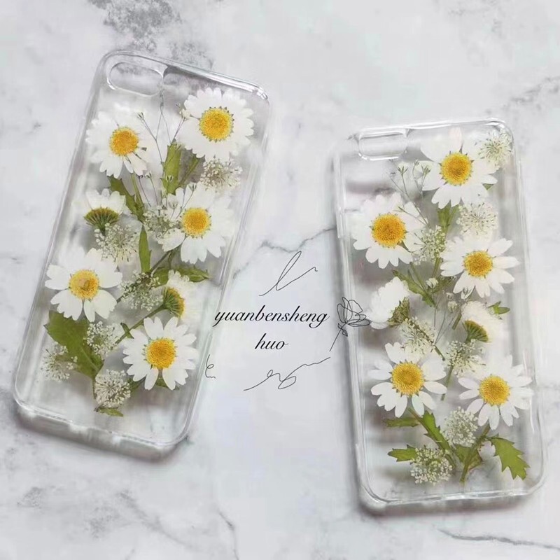 12PCS Real Pressed Dry Daisy with leaves stem for art Craft FHT12
