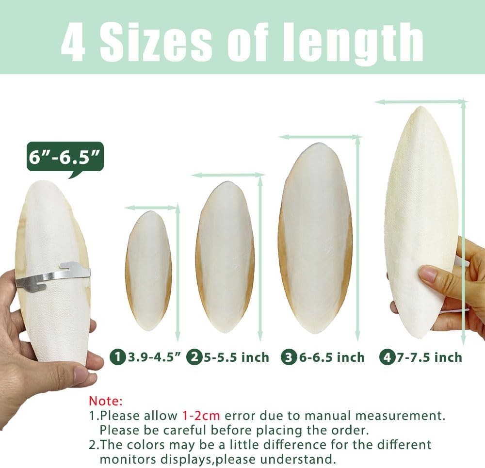 Calcium-Rich Cuttlebone for All Birds - Includes Convenient Cage Holder, 2 Pack