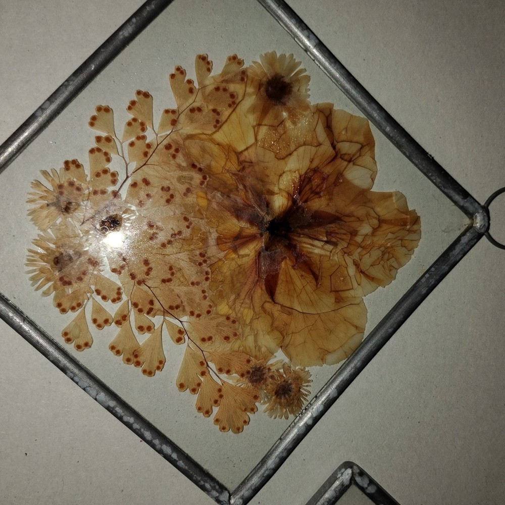 Pressed Flower Window Suncatcher x 2