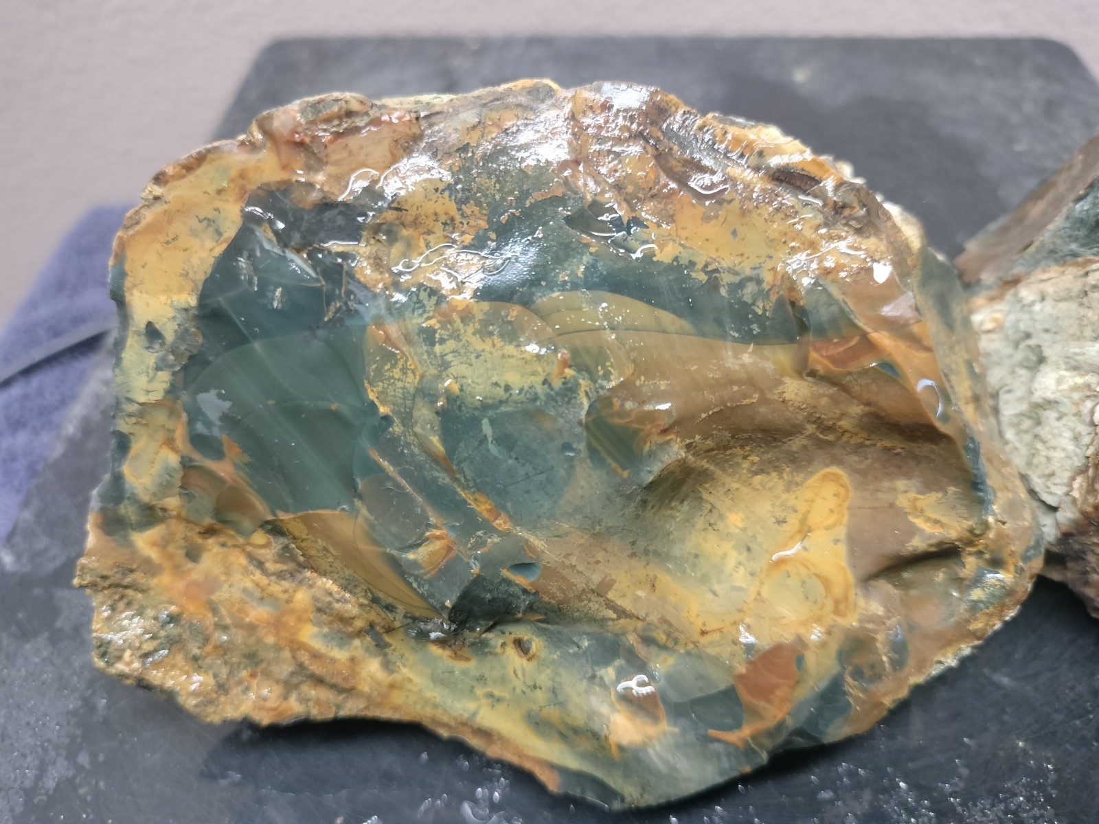 8.7LB ORBS Blue Mountain Picture Jasper Rough 6pc Lot #27