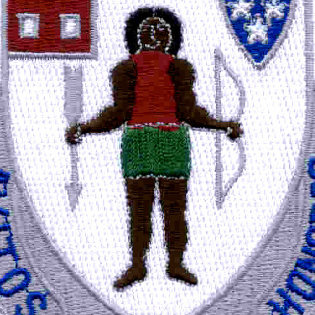 182nd Infantry Regiment Patch