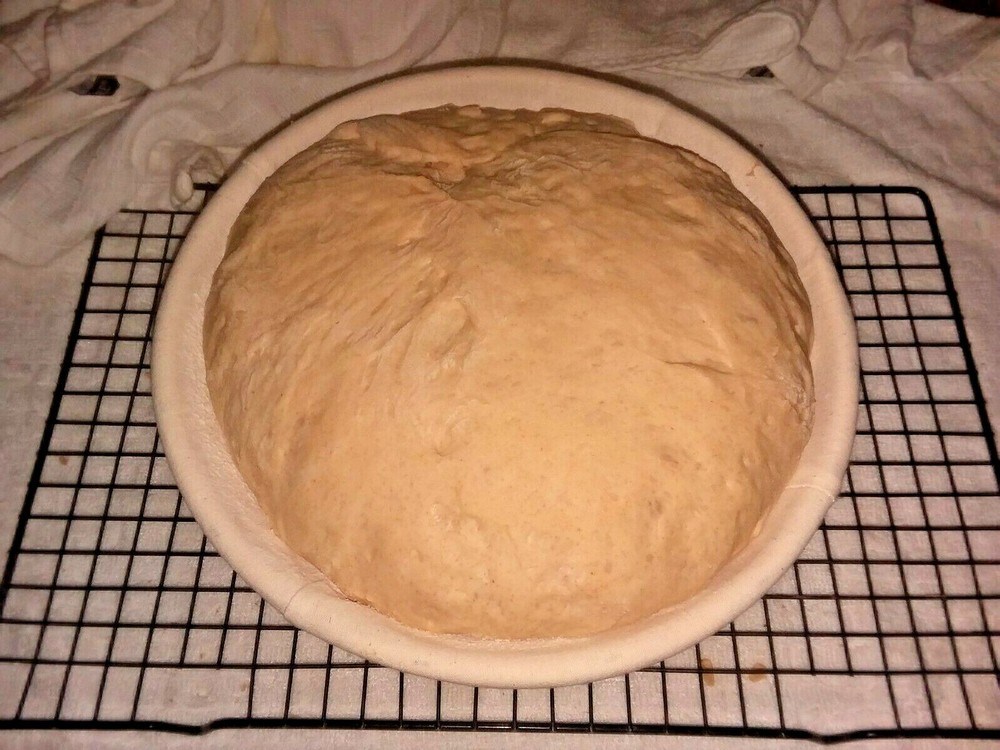 SourDough Starter - Fresh Bread in 24 Hours! Yeah, its that good.