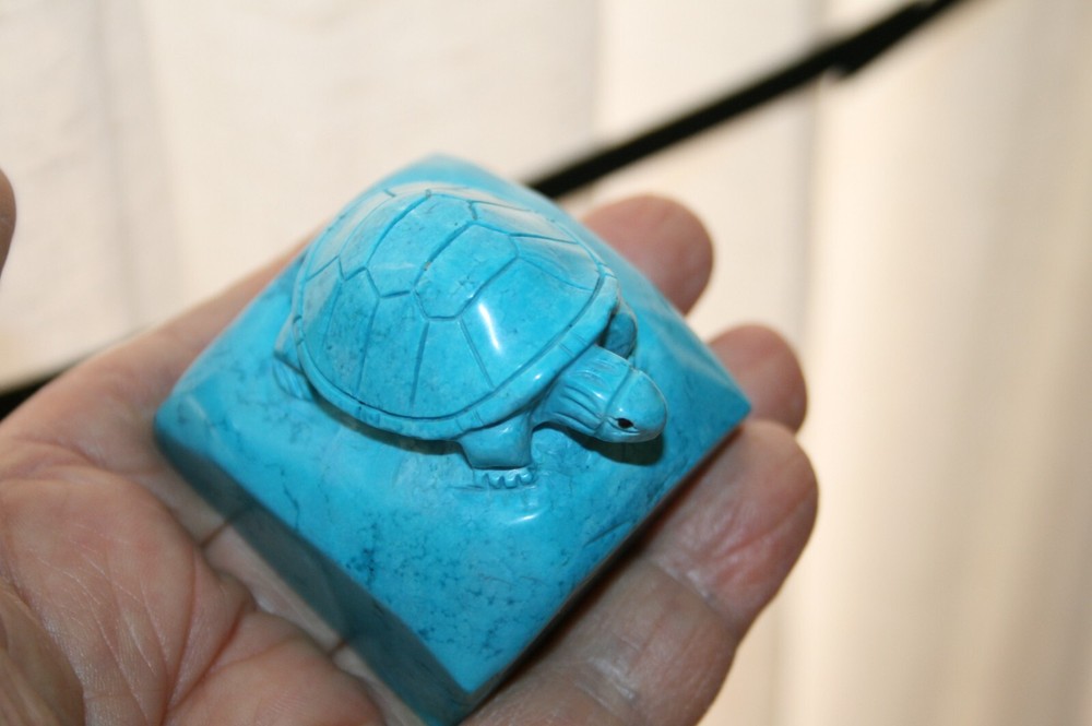 Turtle on a Rock