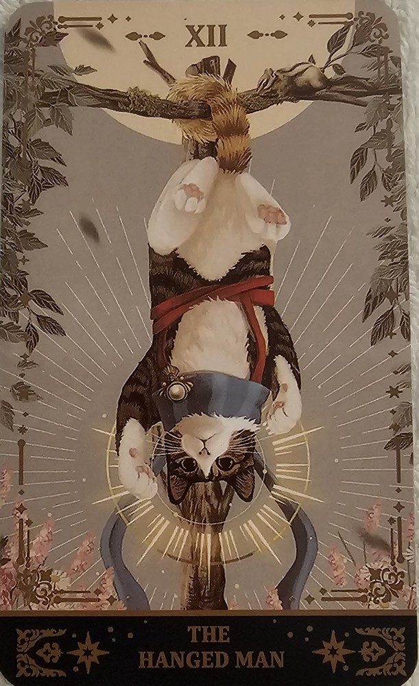 Muse Cat Tarot Deck