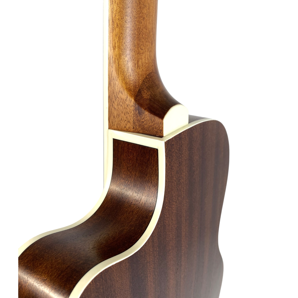 Haze C551BCEQSMFL Solid Top Fretless Arched Back Classical Guitar - Matte