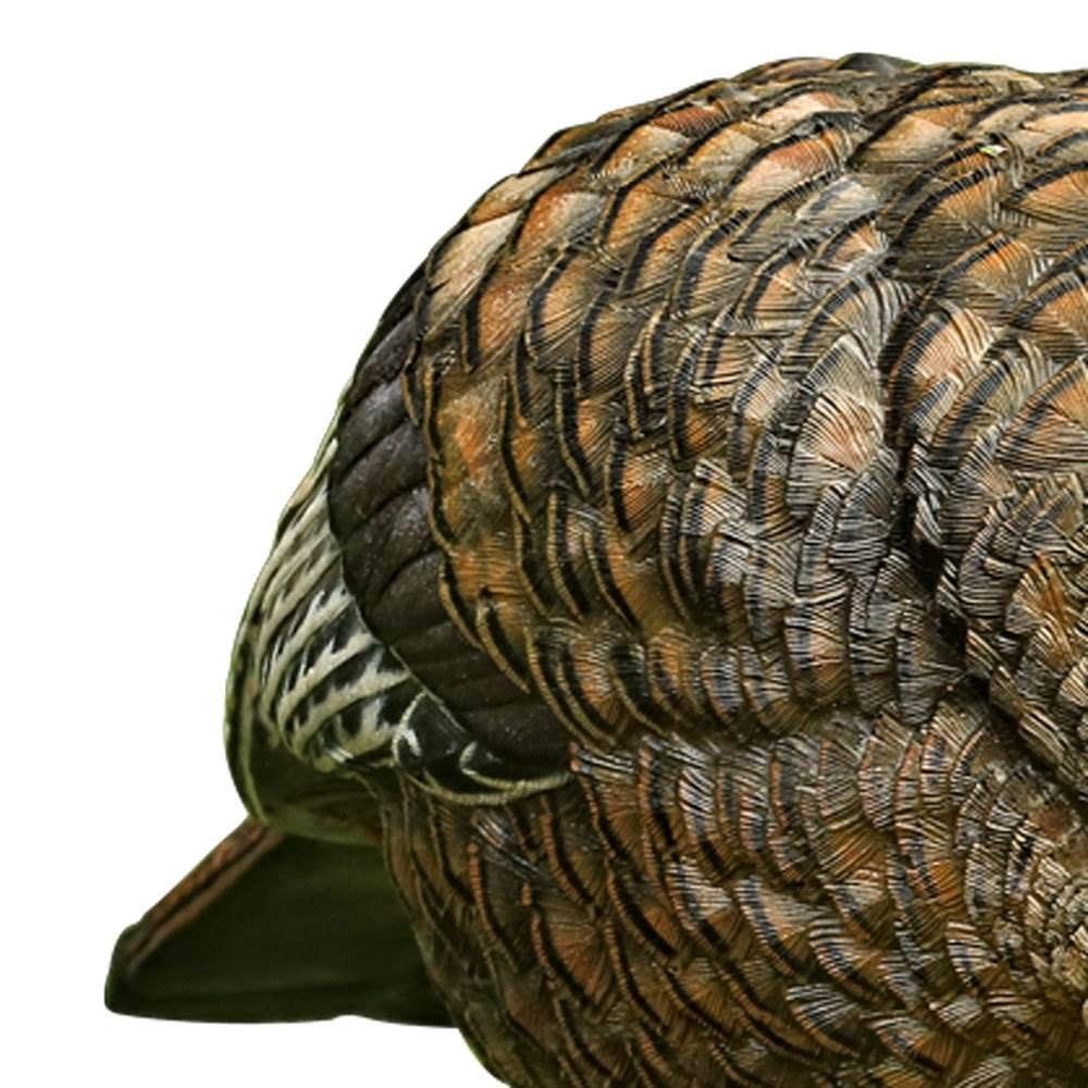 Avian X LCD Feeder Hen Turkey Decoy