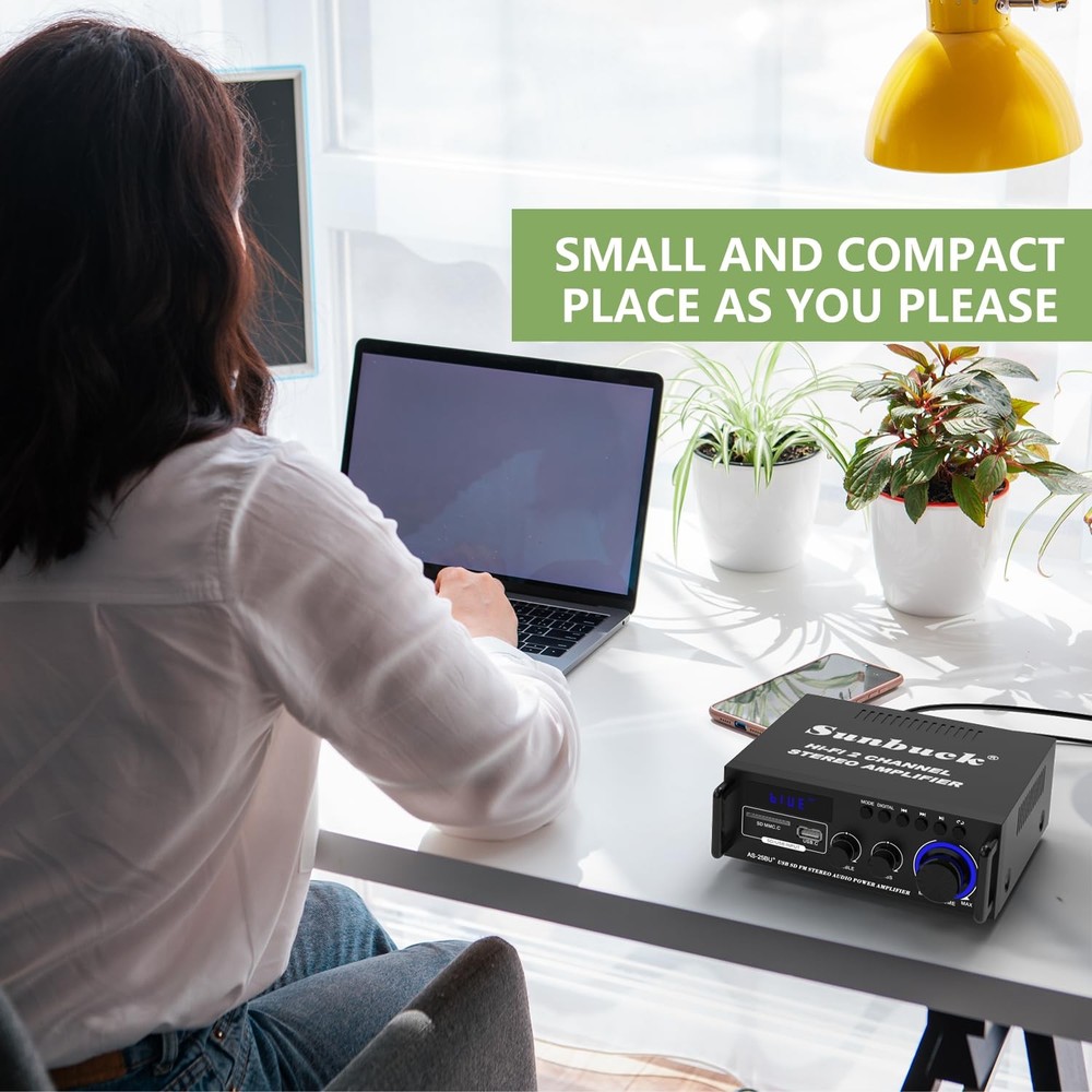 Sunbuck Small Stereo Amplifier, Receiver with Size-300W, Black