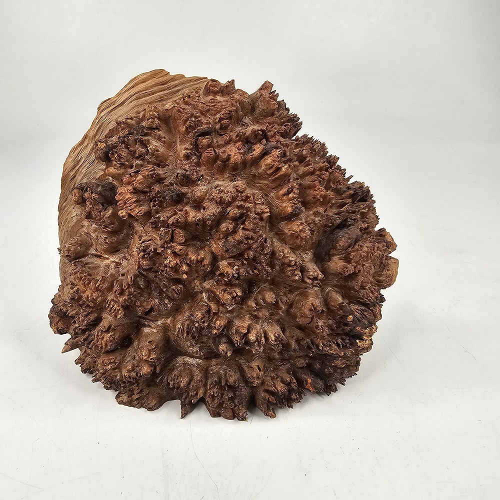 Rough Edge Burlwood Clock Maple