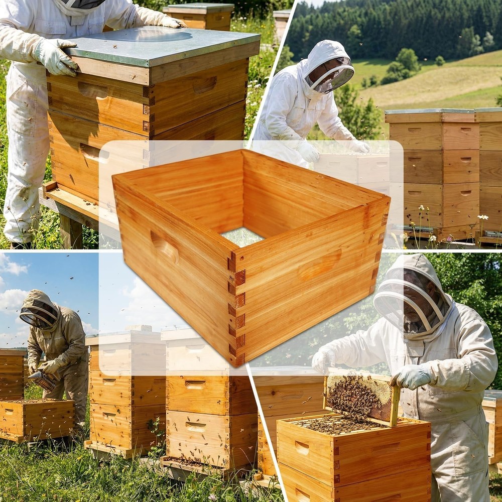 2 Pack 10 Frame Langstroth Deep Brood Beehive Box Beekeeping Supplies