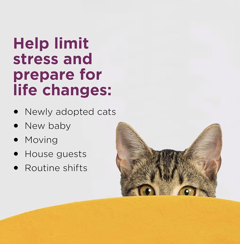 COMFORT ZONE 6 Pack Cat Calming Diffuser Refills; 30-day Refills; Pheromones