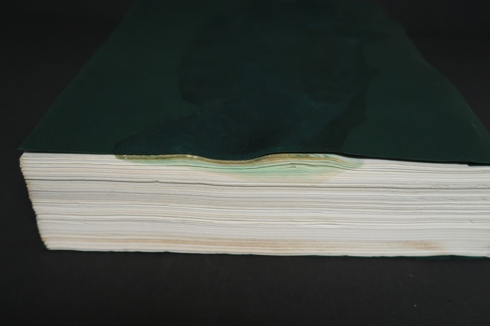 White Sister Original Book Script Stephen J. Cannell Scully Studios Collection
