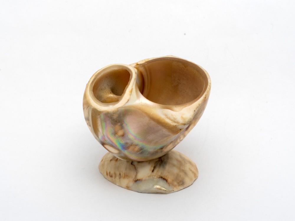Two Antique Carved Shell Salts