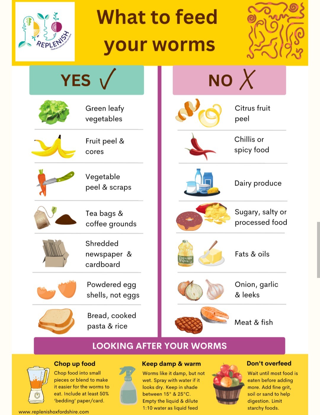 (JIGS) Live PURE Red Wiggler Composting Worms, FREE SHIPPING! No Manure!