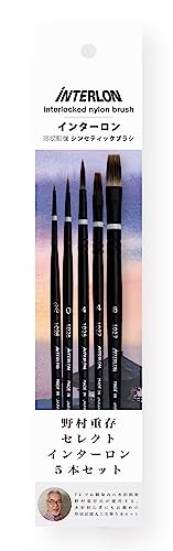 Interlon Brush Set