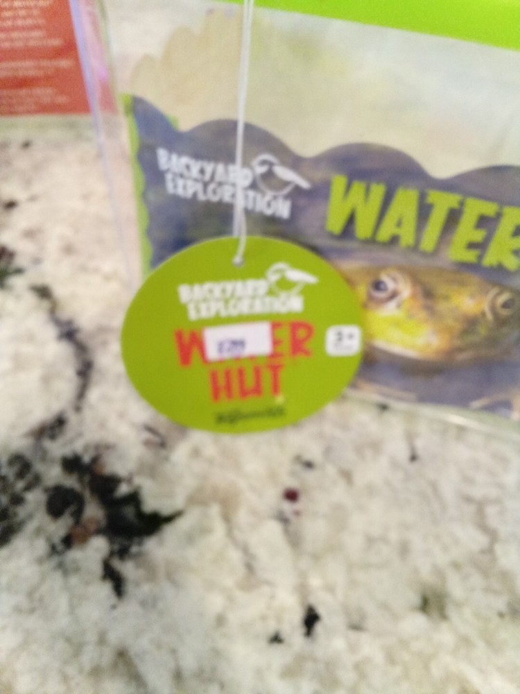 Toysmith Backyard Water Hut