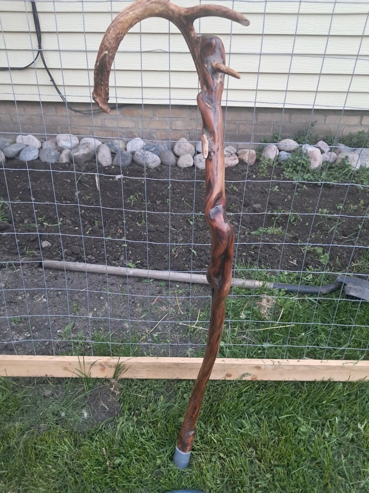 Diamond Willow Walking Stick With Deer Antler Handles