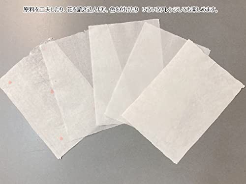 MOLZA Washi Papermaking Kit ZA-01
