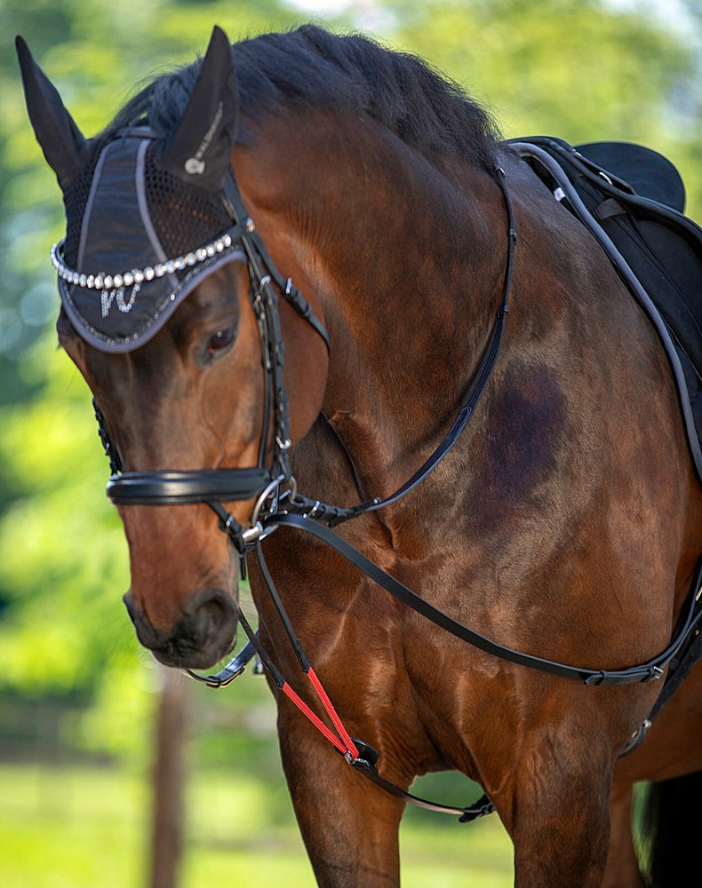 REDINI DA ADDESTRAMENTO TRAINING REINS SYSTEM
