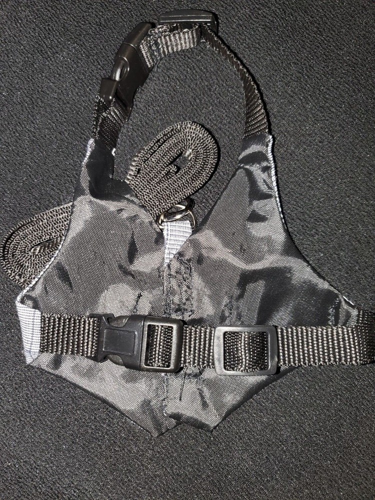 suit dog leash