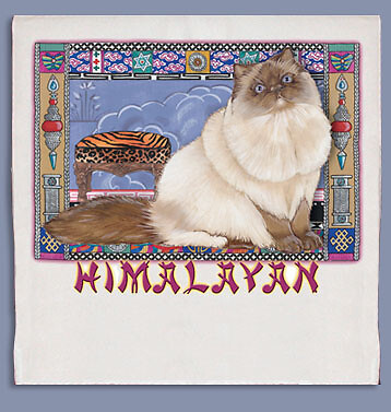 Himalayan Dish Towel