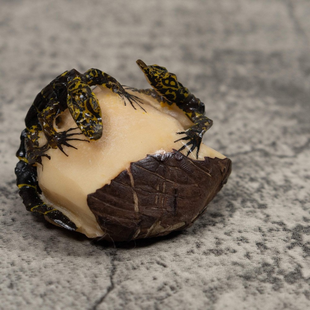 Double Alligator Crocodile Tagua Carving