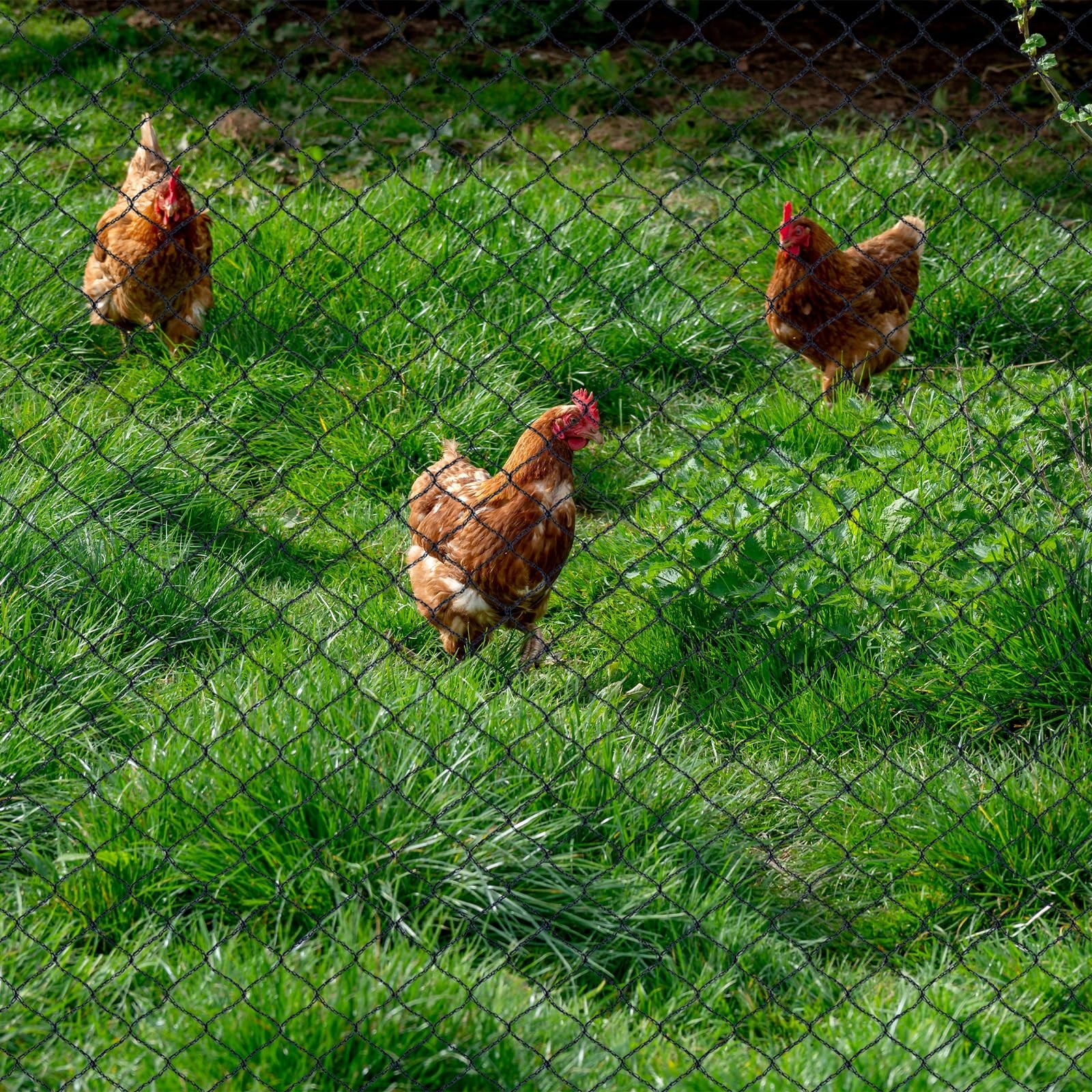 Woven Bird Netting 30x30 FT 1/2 Inch Mesh Heavy Duty Garden Pest Barrier