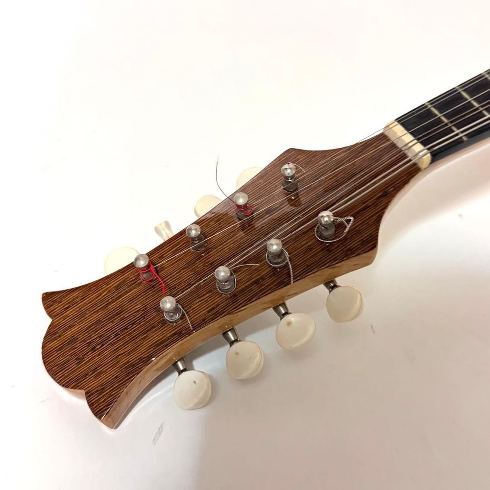 Good condition MONOPIA Mandolin with hard case included