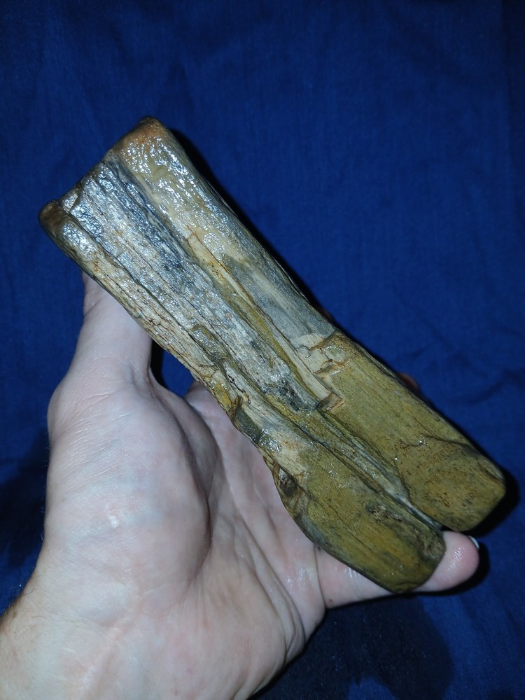 30 oz Petrified Wood