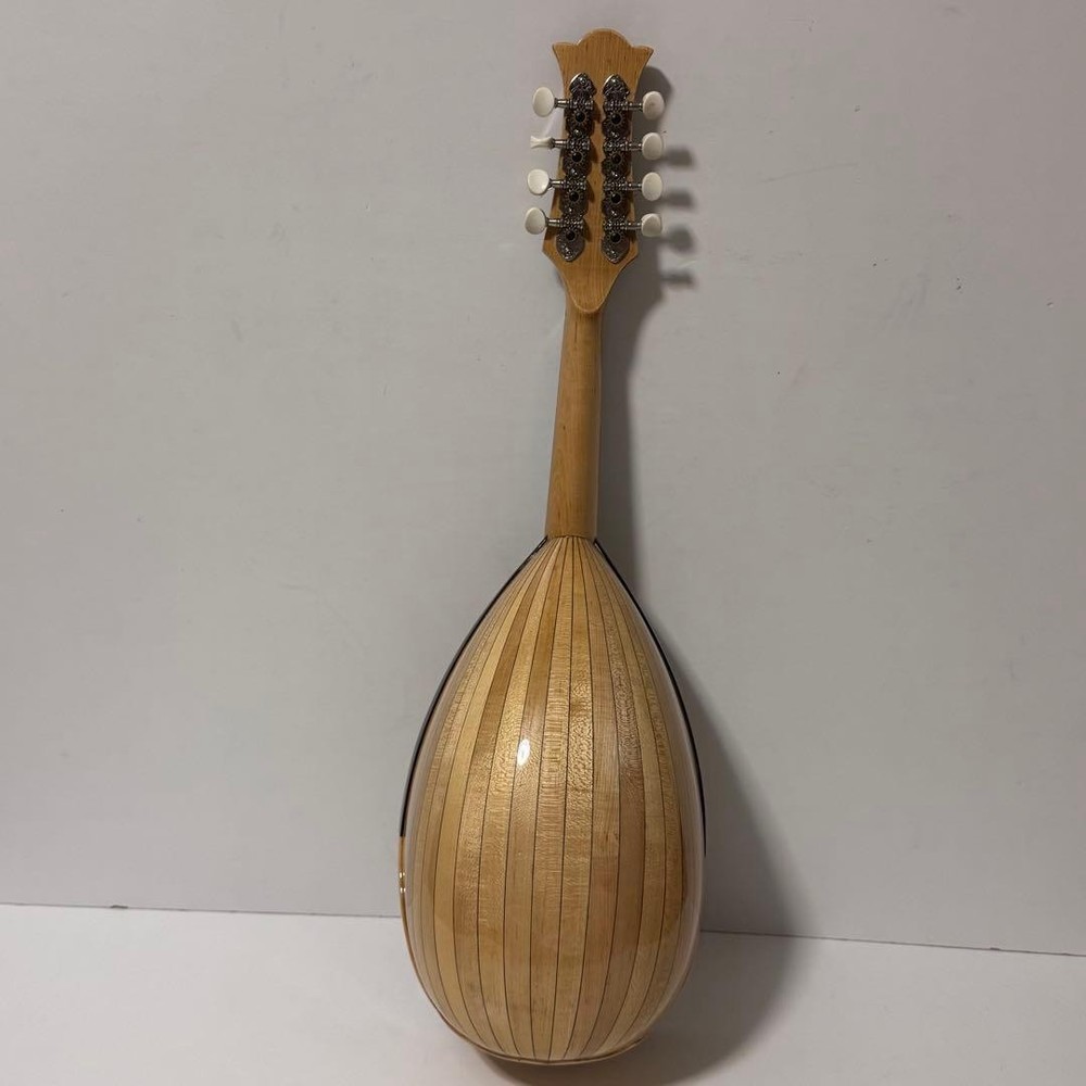 Good condition MONOPIA Mandolin with hard case included