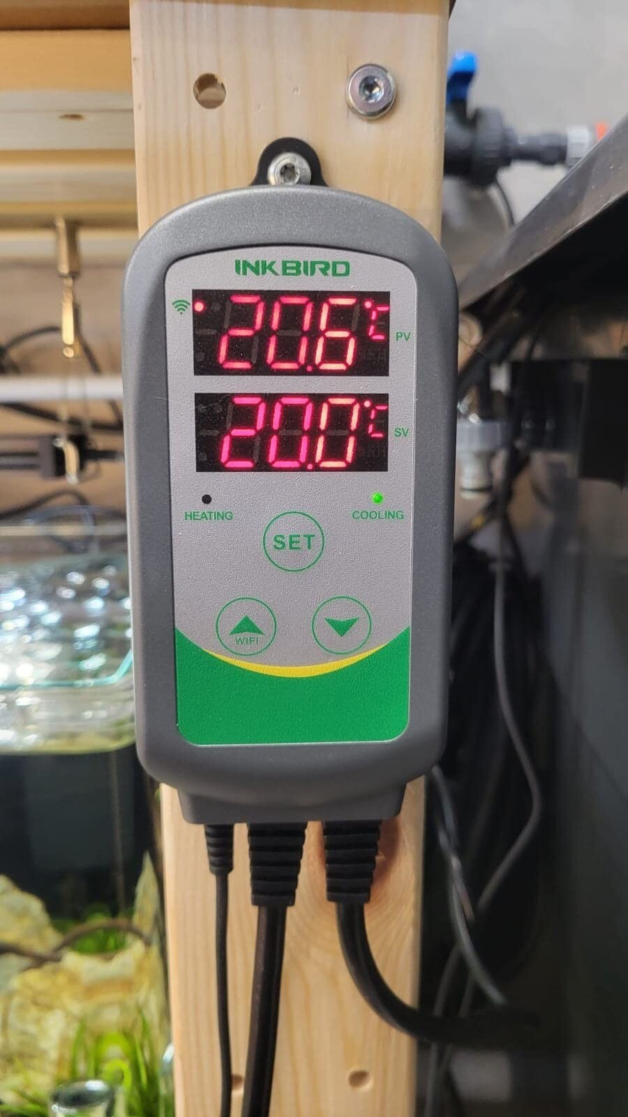 WiFi Thermostat Temperature Controller ITC-308 Seed Starter Brew Heater Cooler