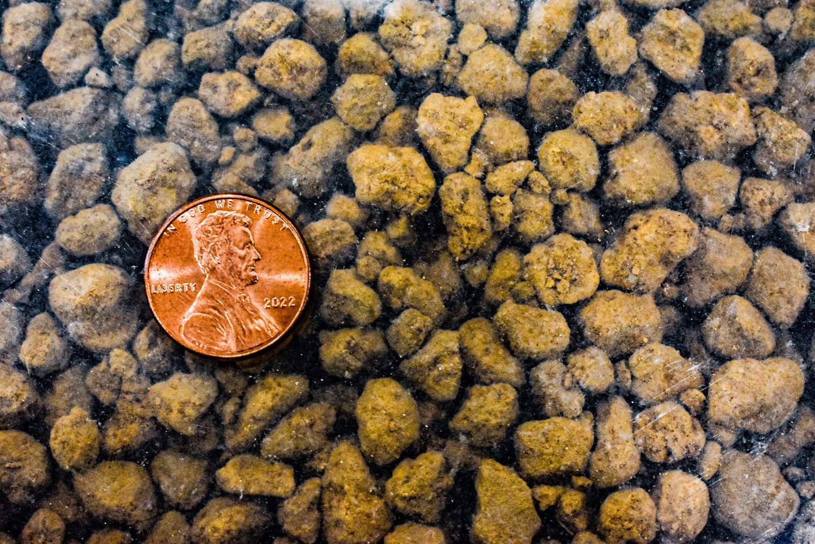 (Medium) Akadama From Japan – Triple Red Line ‘Fire Heated’- 14L Bag