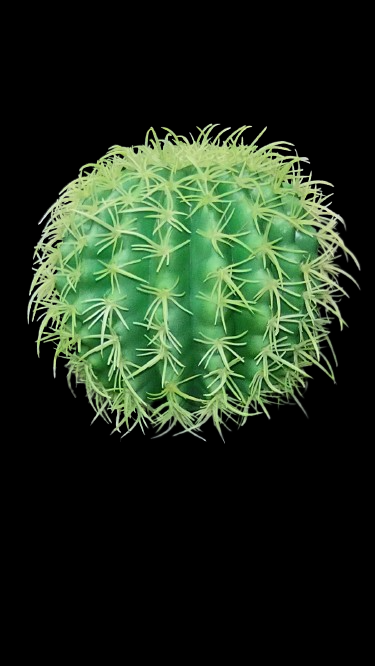 6" Artificial barrel cactus.