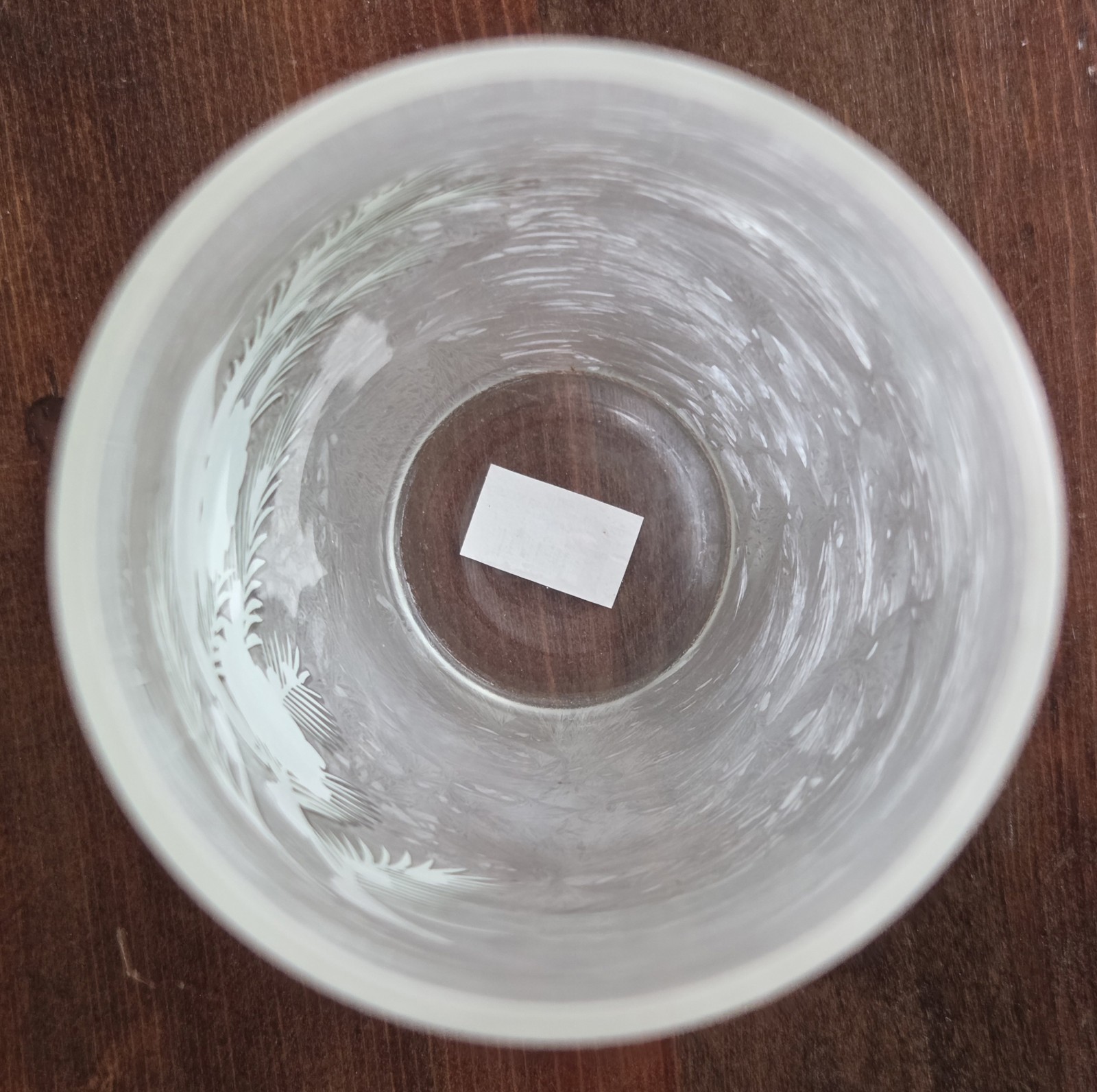 Gantz 11" Bird Frosted Glass Hurricane Lamp or Vase Fairy Lights Included