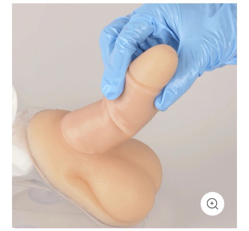 MedEduQuest Male Urethral Catherization Simulator For Students