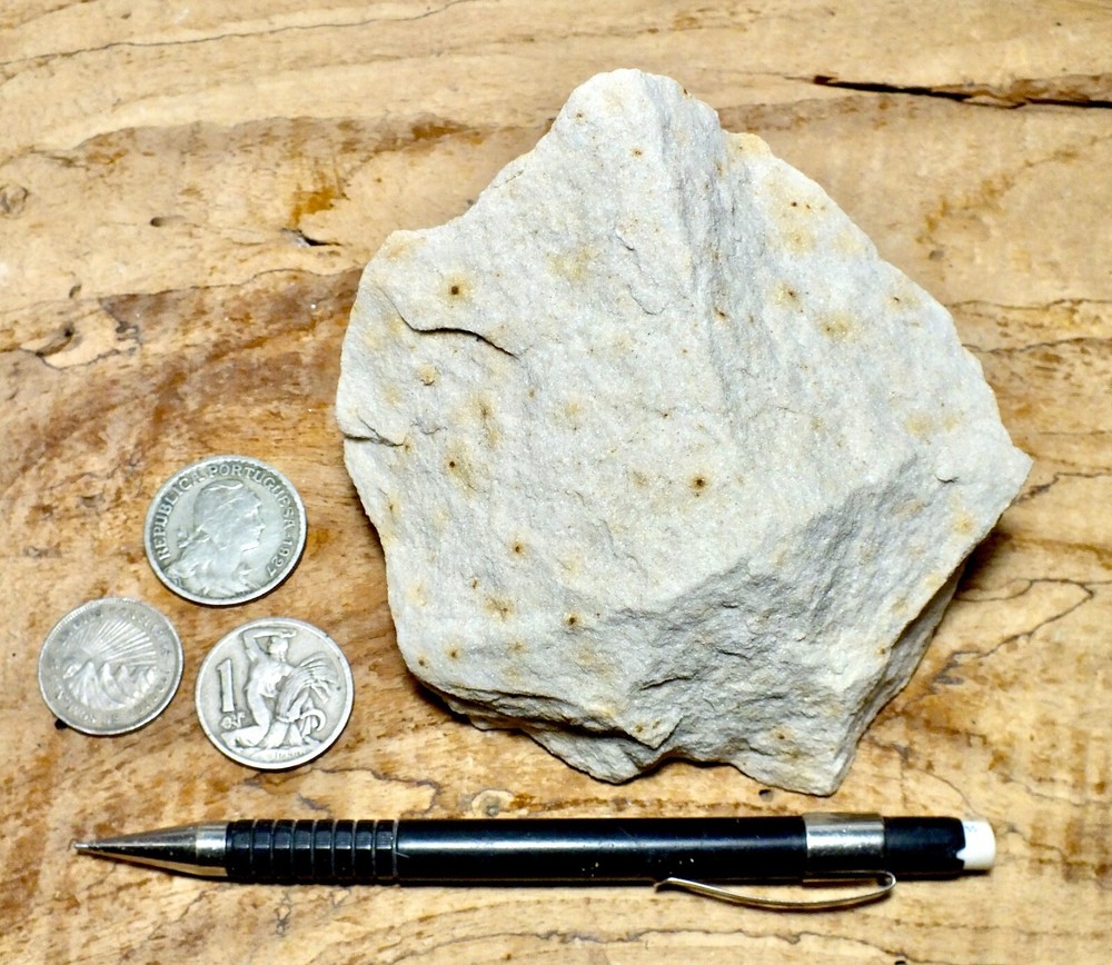 sandstone - arkosic fine grained Miocene sandstone - hand/display specimen
