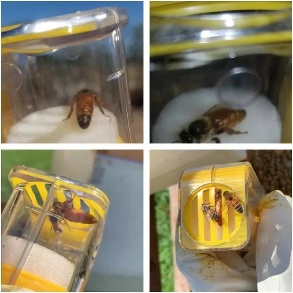 Bee Queen Marking Catcher One Handed Marker Bottle Plunger Plush Tool