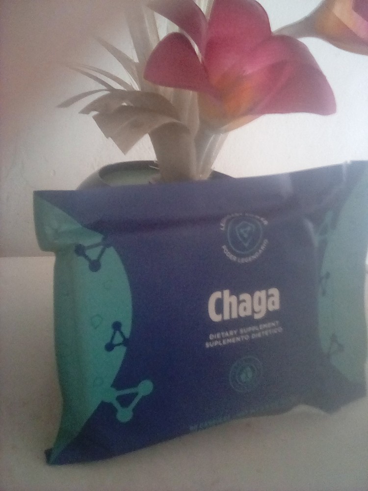 total life changes Chaga  Mushrooms 90 capsules