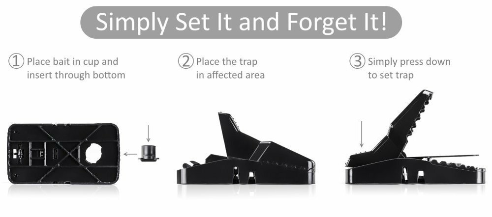 Large Powerful Rat Traps (24 Pack) - Kills Instantly with Powerful Steel Spring