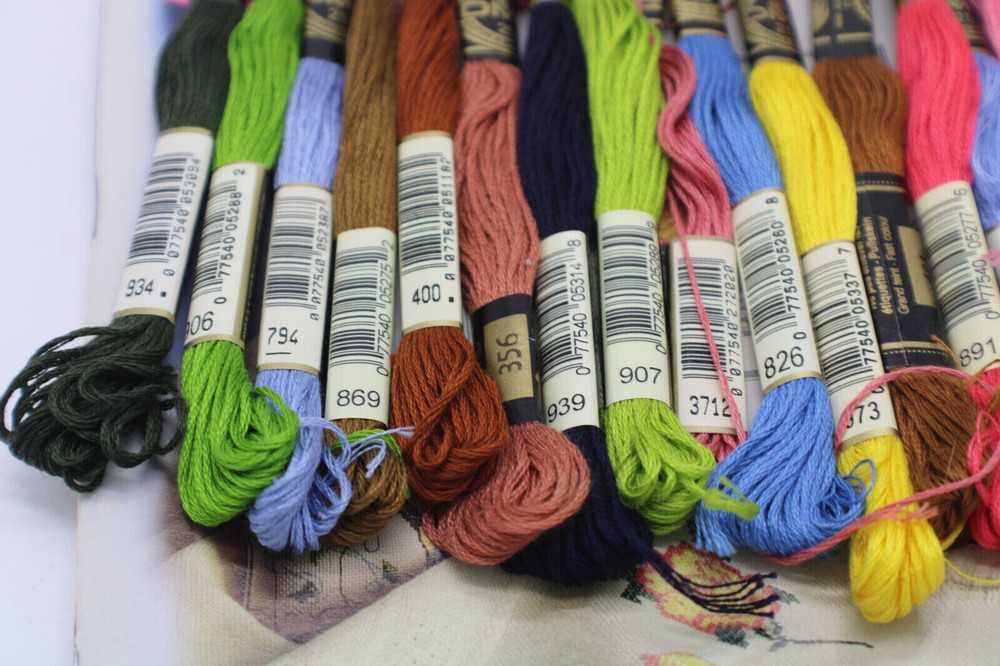 Cross Stitch Patterns With 19 Dmc Floss Skeins