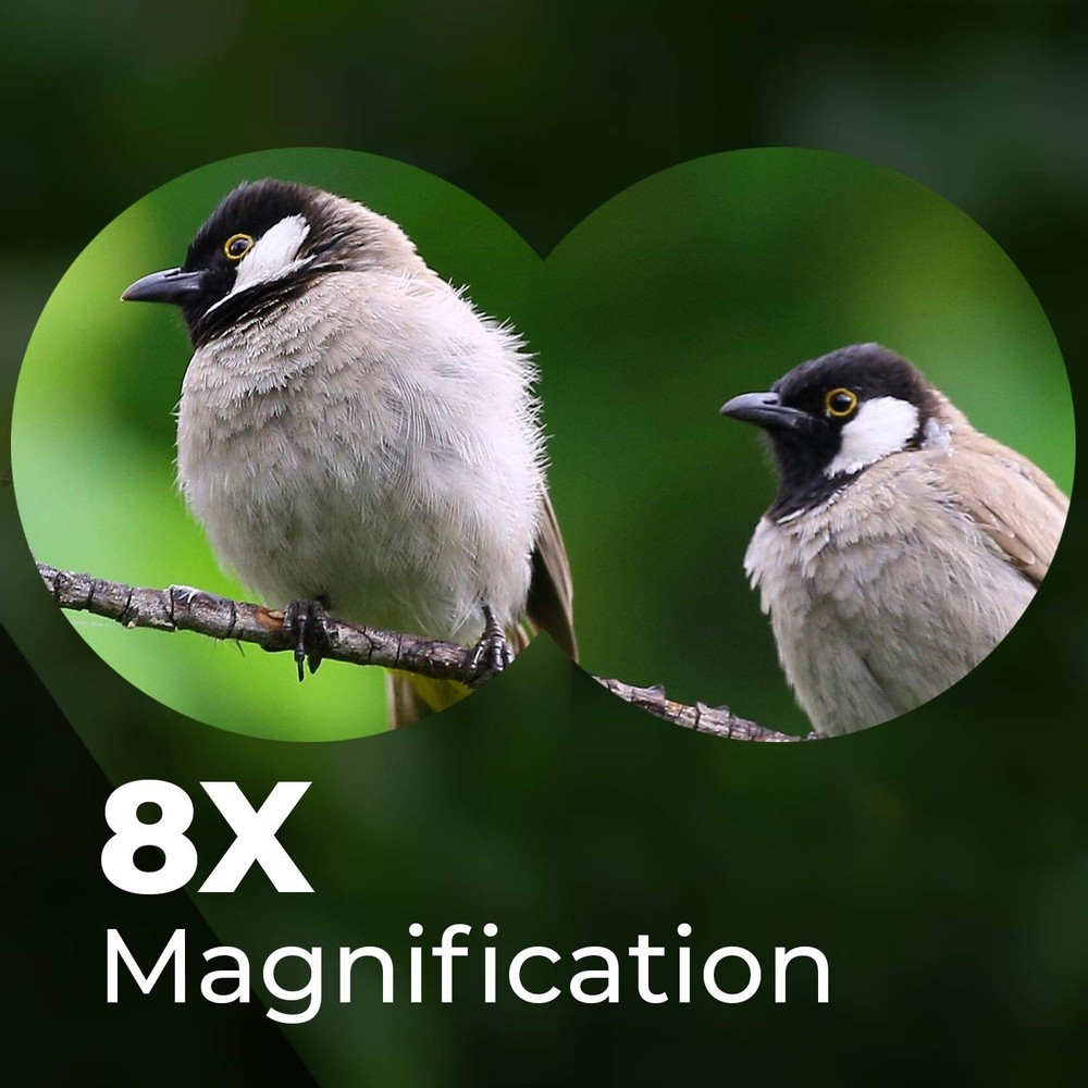 Wingspan Optics FieldView 8X32 Compact Binoculars for Bird Watching. Lightwei...