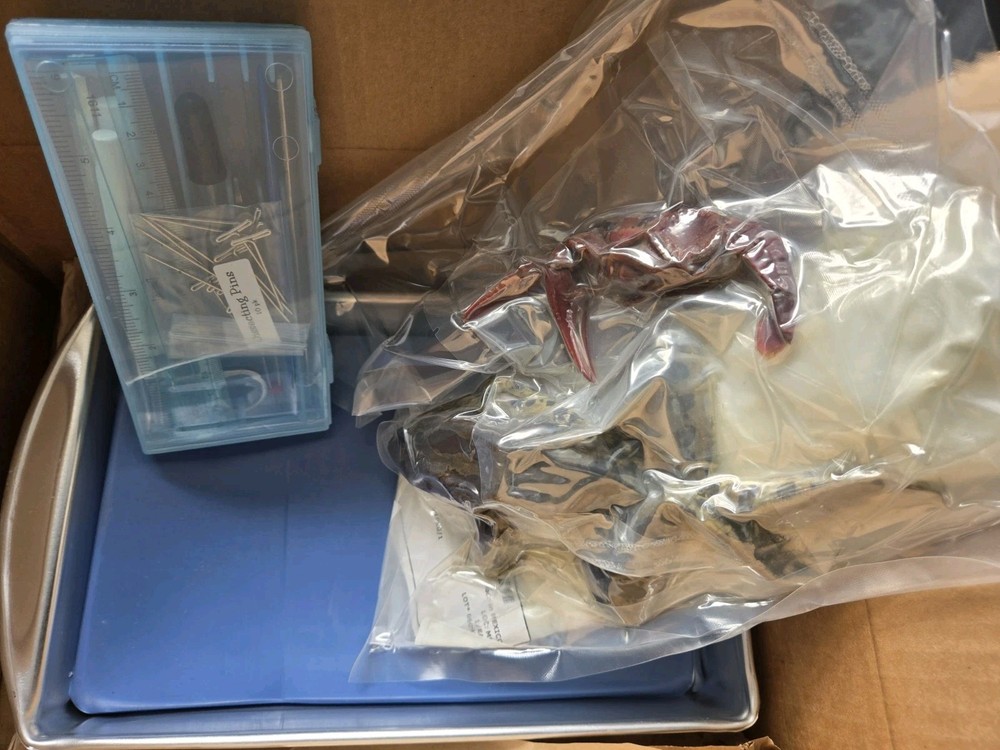 Nature's Workshop Plus! Dissecting Lab w/Specimens 40031 Exploring Creation Bio