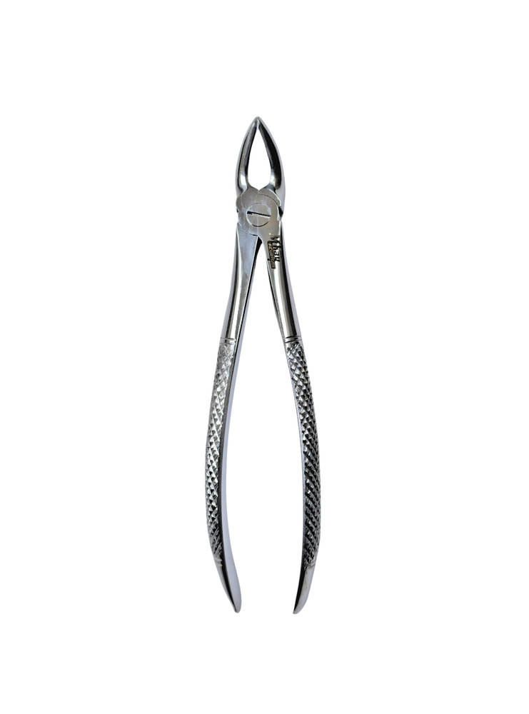Dental Extraction Curved Forceps 7"
