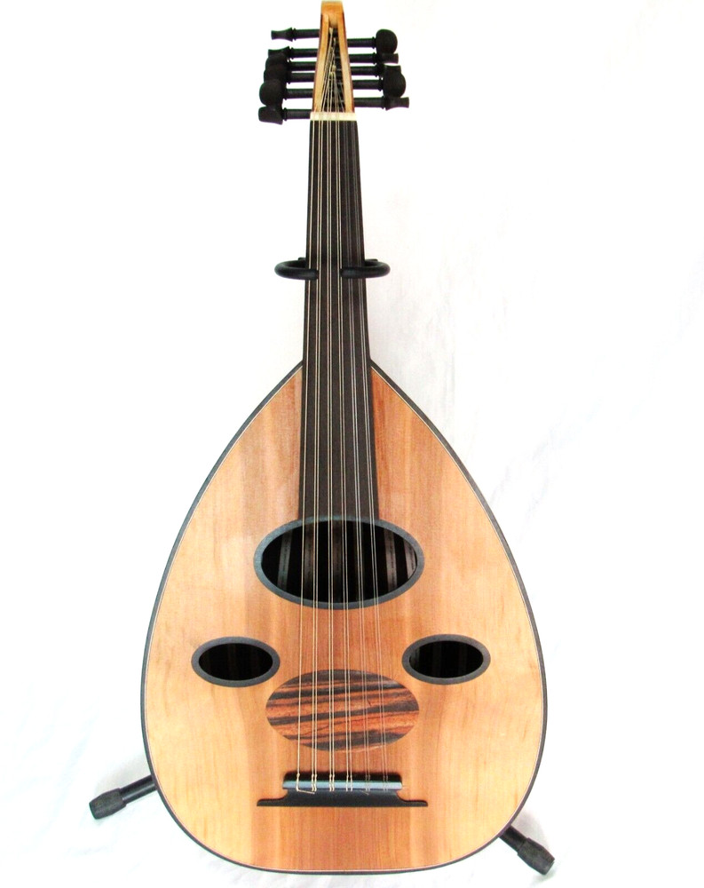 Beautiful  Quality   Oud Ud cns2